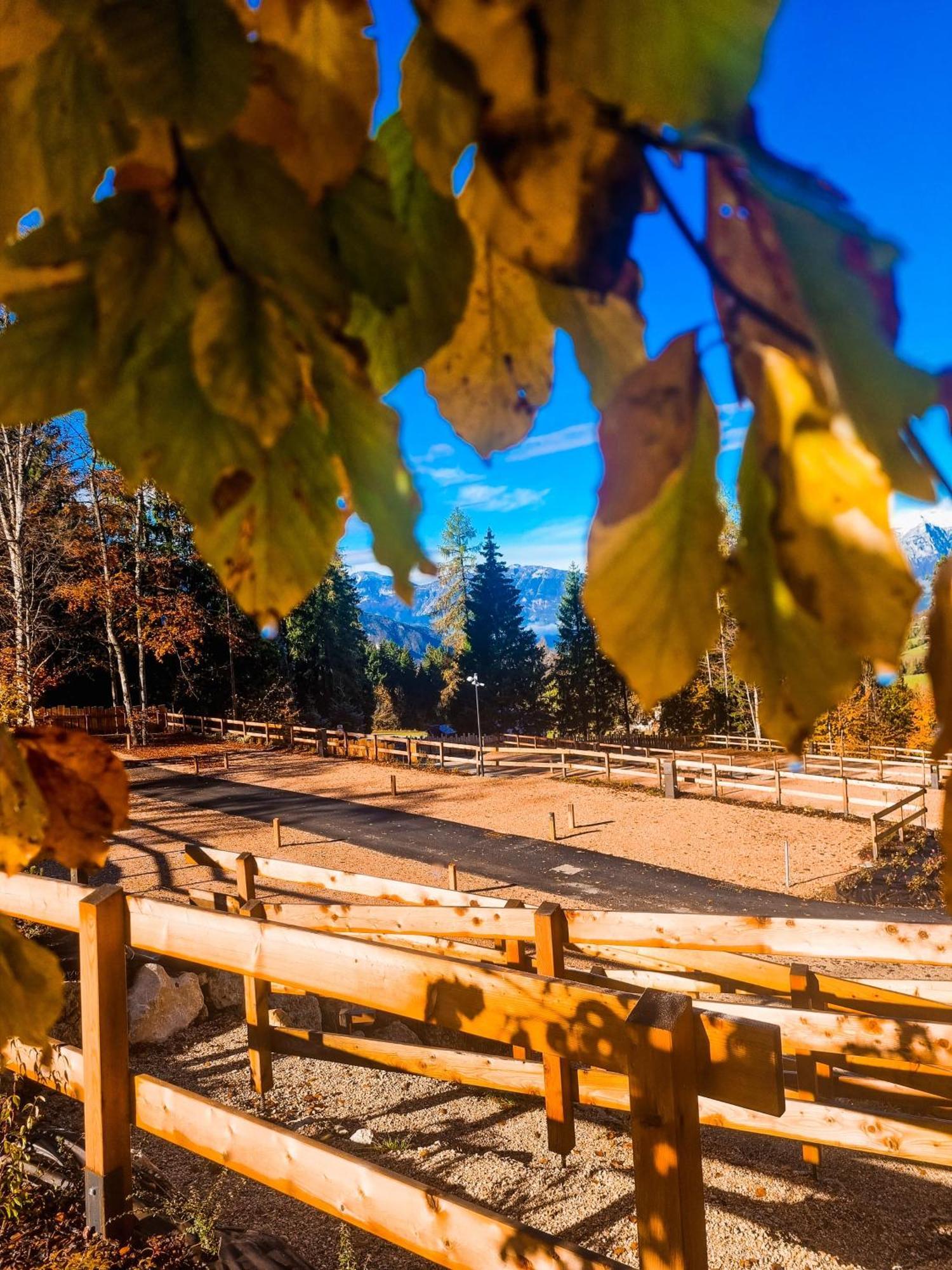 Camping Essenza Alpina Folgaria Kültér fotó